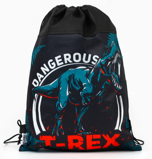 Мешок для обуви «T-REX»