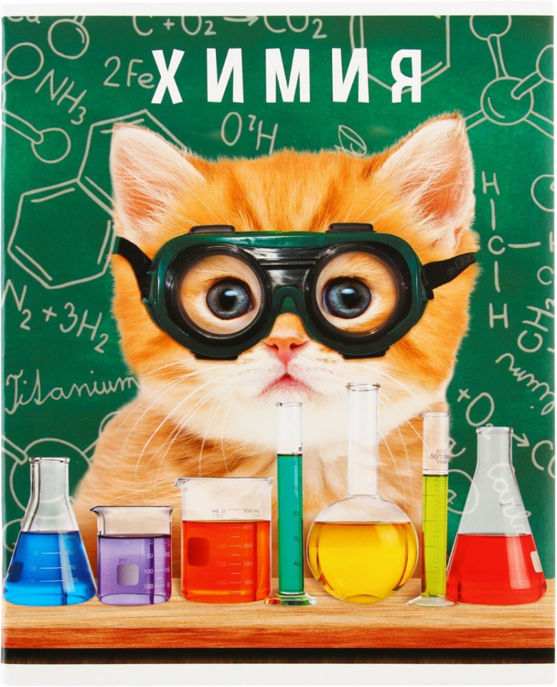 Тетрадь предметная «Химия» | Study — Зверята | ArtFox