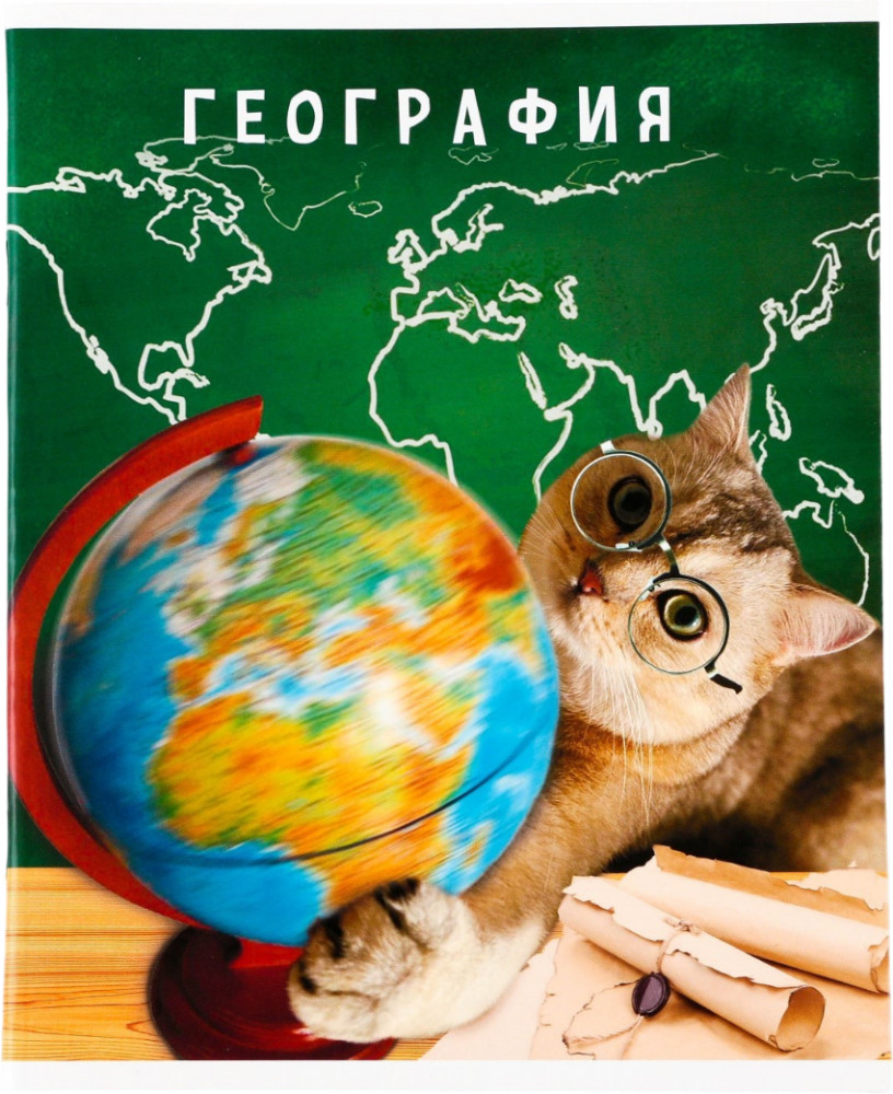 Тетрадь предметная «География» | Study — Зверята | ArtFox