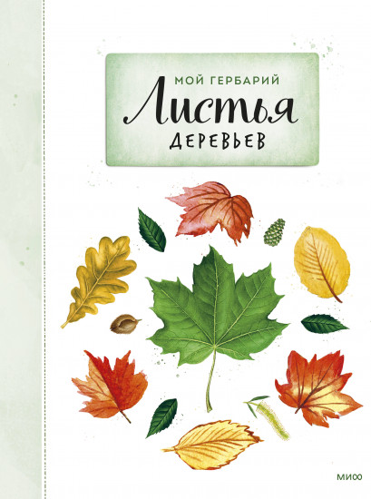 Мой гербарий. Листья деревьев