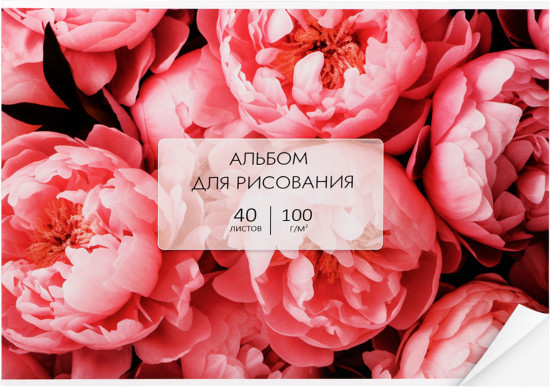 Альбом для рисования «Цветы»