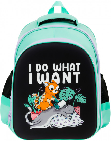 Ранец «Do what I want»