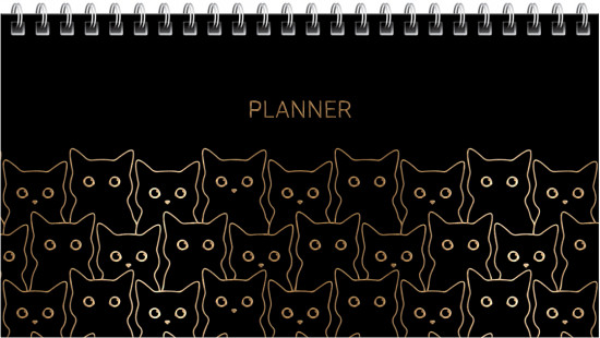 Планер «Black cat»