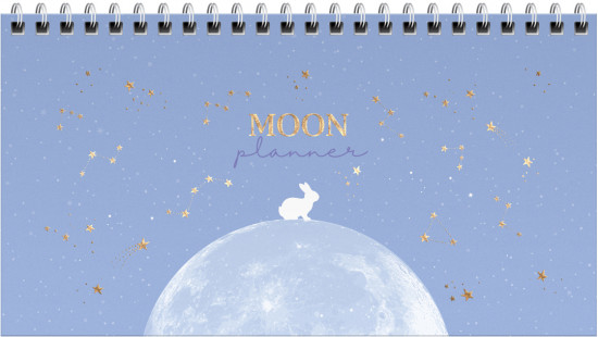 Планер «Moon light»