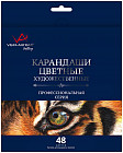 48 шт.