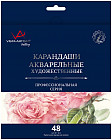 48 дана