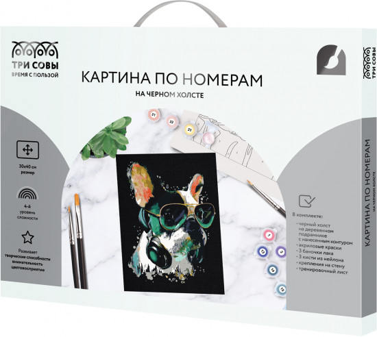 Картина по номерам «Меломан»