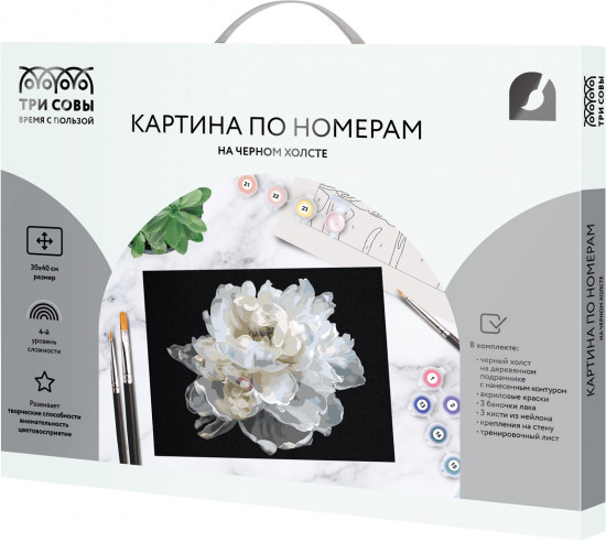 Картина по номерам «Белый цветок»