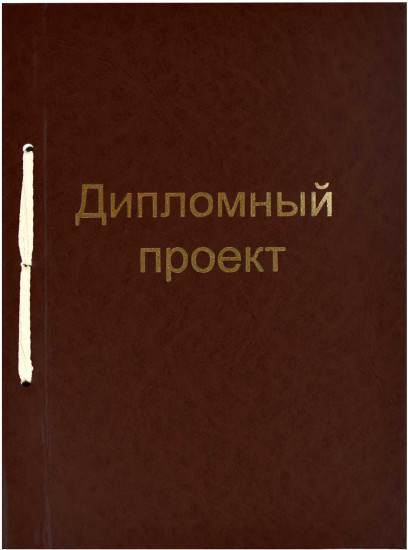 Папка для дипломного проекта