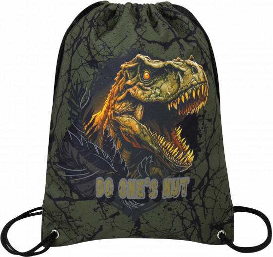 Мешок для обуви «Dino attack»