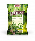 Почвогрунт для фикуса