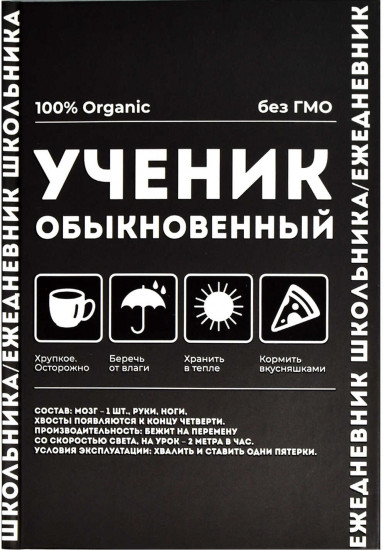Ежедневник школьника «Ученик обыкновенный»