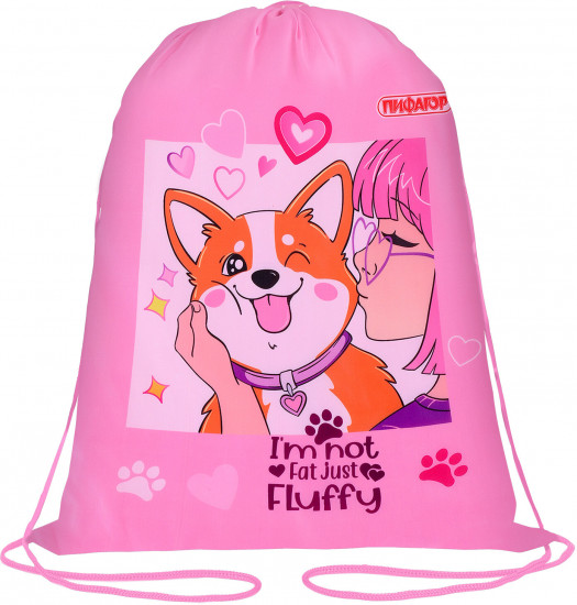 Мешок для обуви «Fluffy akita»