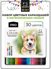 Набор карандашей цветных профессиональных «GrafArt Pro»
