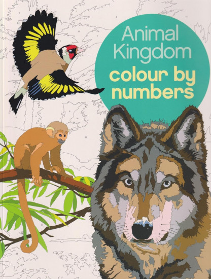 Animal Kingdom. Colour by Numbers