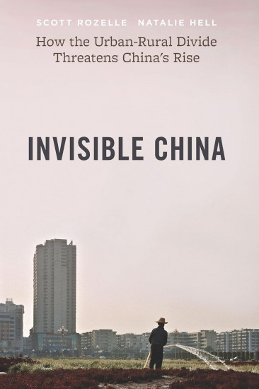 Invisible China. How the Urban-Rural Divide