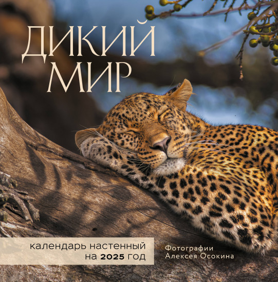 Календарь настенный на 2025 год «Дикий мир»