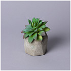 Суккулент искусственный в горшке