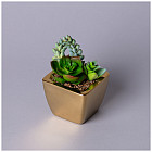 Суккулент искусственный в горшке
