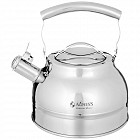 Чайник со свистком и термоаккумулирующим дном