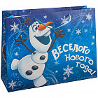 Пакет «Холодное сердце»