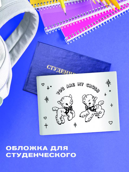 Обложка для студенческого билета