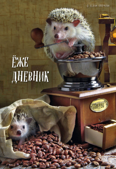 Ежедневник «Ёжедневник. Блокнот для людей и ежей»