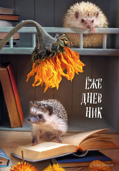 Ежедневник «Ёжедневник. Бокнот для людей и ежей»
