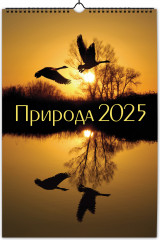 Календарь на спирали на 2025 год «Природа»