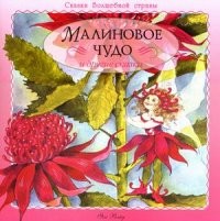 Малиновое чудо и другие сказки