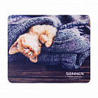 Коврик для мыши «Kitten»