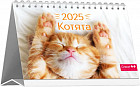 Календарь настольный на 2025 год «Котята»