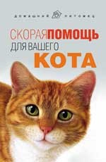 Скорая помощь для вашего кота | Домашний питомец