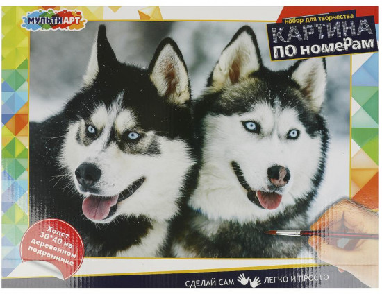 Картина по номерам «Хаски»