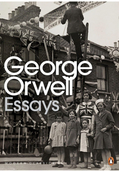 Essays
