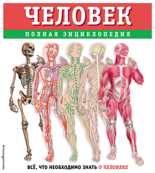 Человек. Полная энциклопедия
