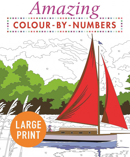 Amazing Colour-By-Numbers Large Print