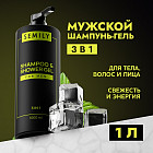3 в 1
