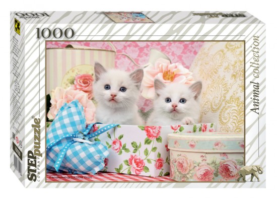 Котята