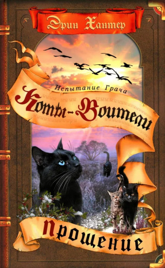 Испытание Грача. Книга 2. Прощение