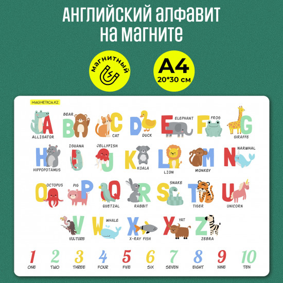 Английский алфавит на магните