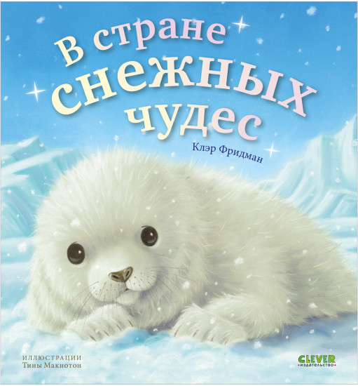В стране снежных чудес