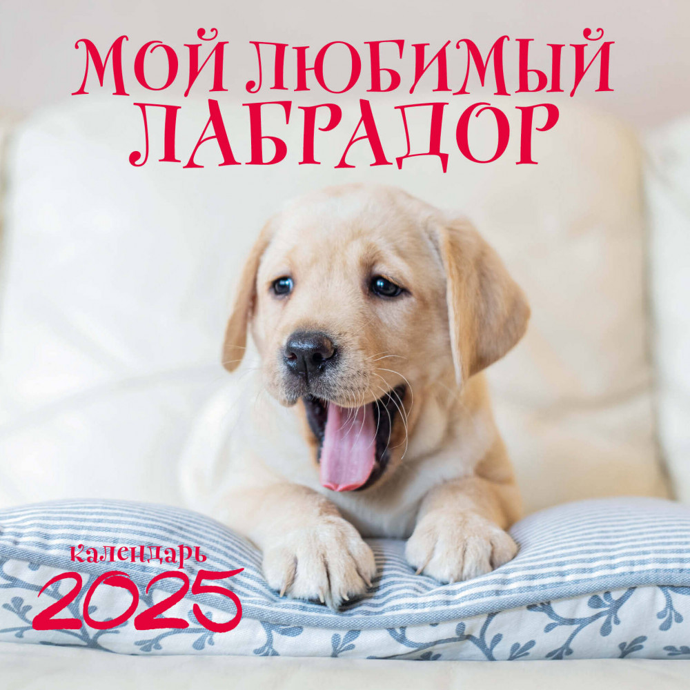 Календарь настенный на 2025 год «Мой любимый лабрадор» | Календари настенные 2025 (300×300)