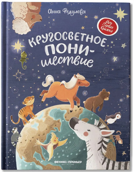 Кругосветное ПОНИшествие