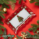 25×15×2 см