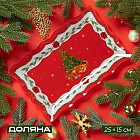 25×15×2 см
