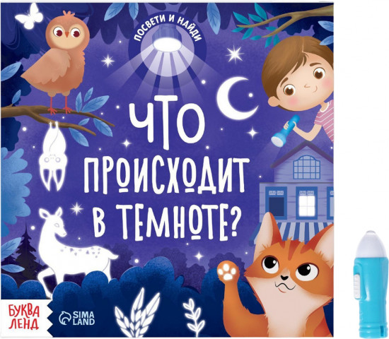 Книга с фонариком «Что происходит в темноте?»