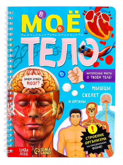 Моё тело