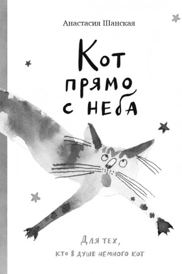 Кот прямо с неба