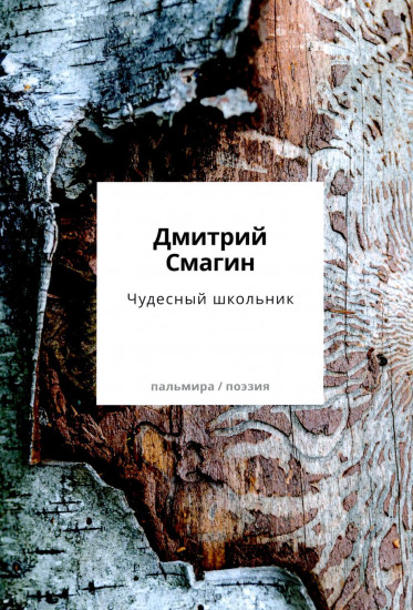 Чудесный школьник